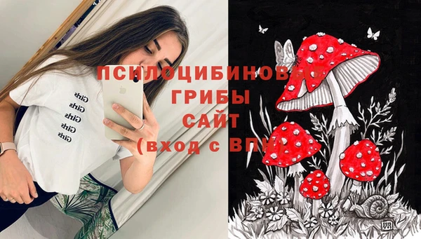 круглые Зеленокумск