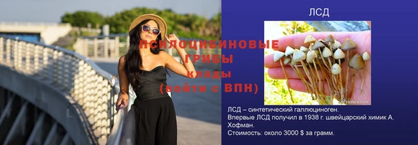 эйфоретик Заволжье