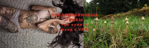скорость Зерноград