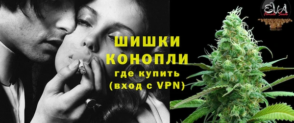 mdpv Заводоуковск