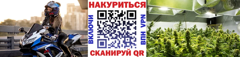 МАРИХУАНА THC 21%  Купить закладки  Камбарка 